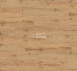 Ламинат Haro Tritty 100 Campus 4V АЛЬПИЙСКИЙ ДУБ НАТУРАЛЬНЫЙ 532063 фото 1 | FLOORDEALER